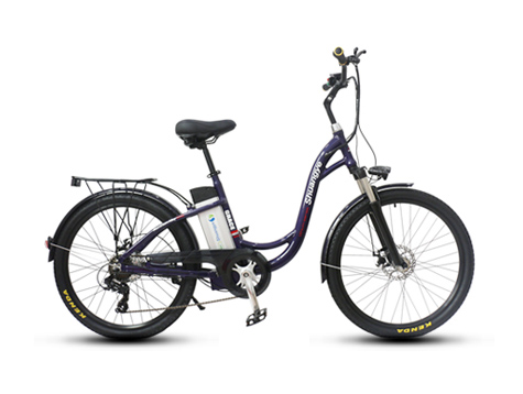 What are the different kinds of electric bikes and their price ranges