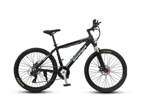 shuangye electric bike advantage