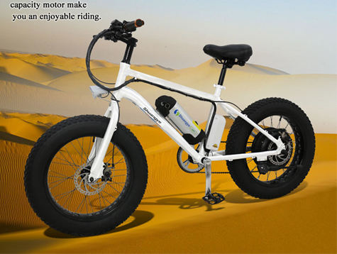 analysis of power assisted bicycle maintenance