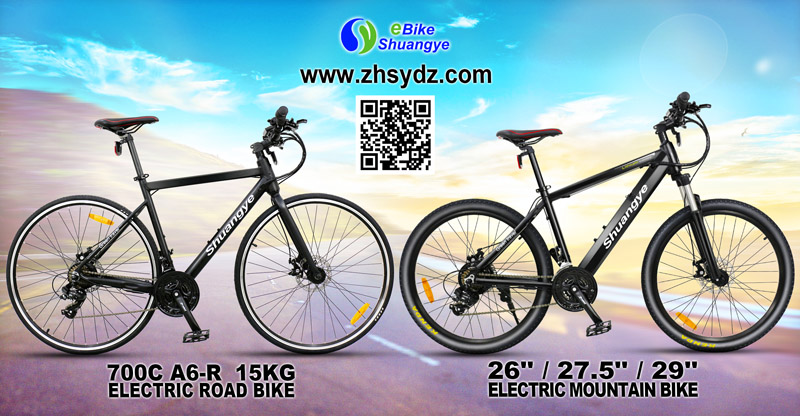 electric bike