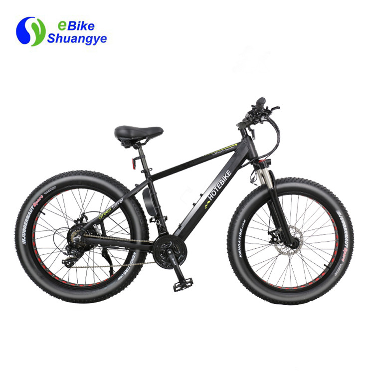 electric bicycle (1)