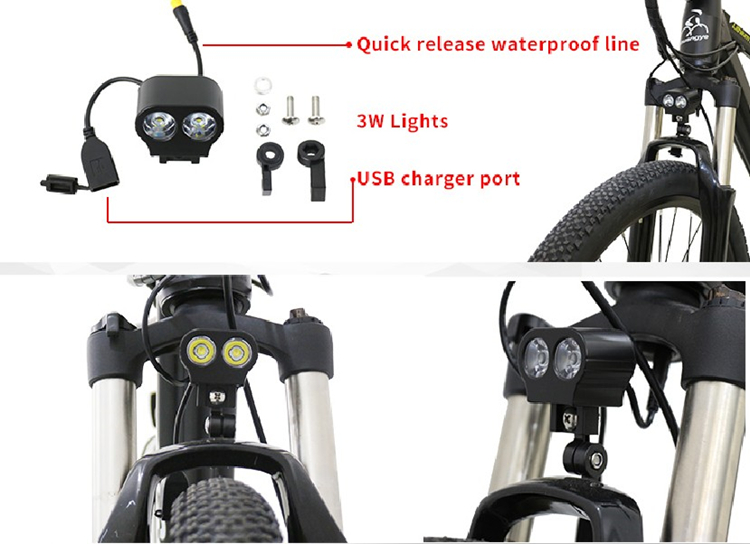 motorized bicycle electric