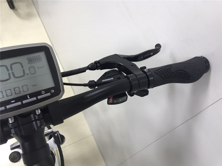 LCD display electric bike