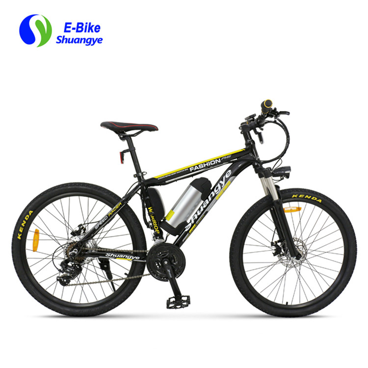 electric bike (6)