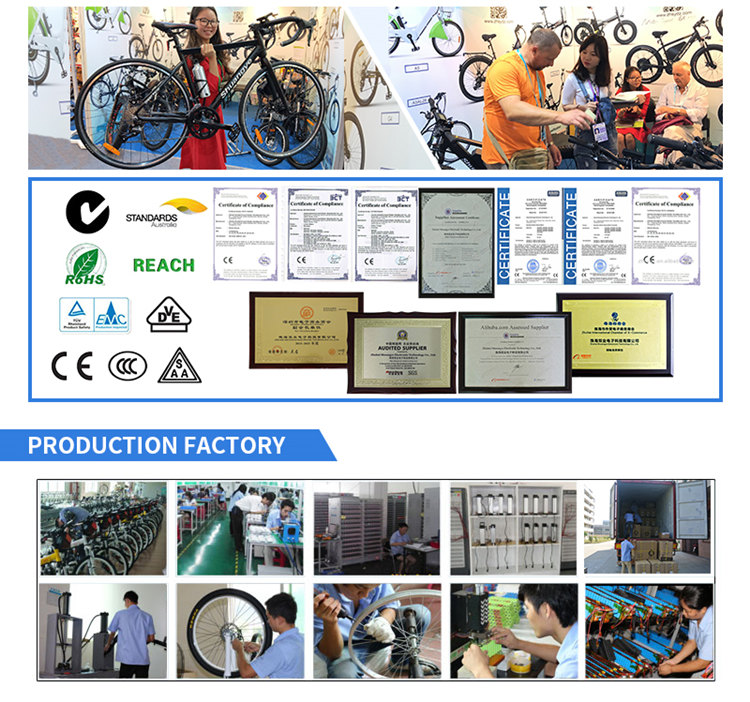 electric bike factory