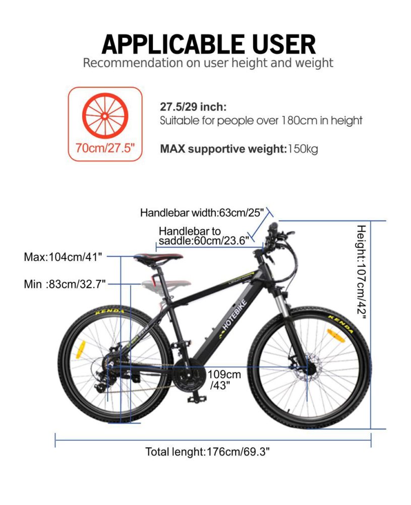 adult afforable electric bicycle