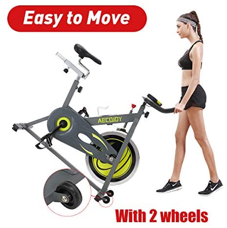 AECOJOY Cycling Exercise Bike Stationary 330 Lbs Weight Capacity, Indoor Cycling Bike Silent Drive LCD Display with Comfortable Seat Cushion Reviews - Blog - 5