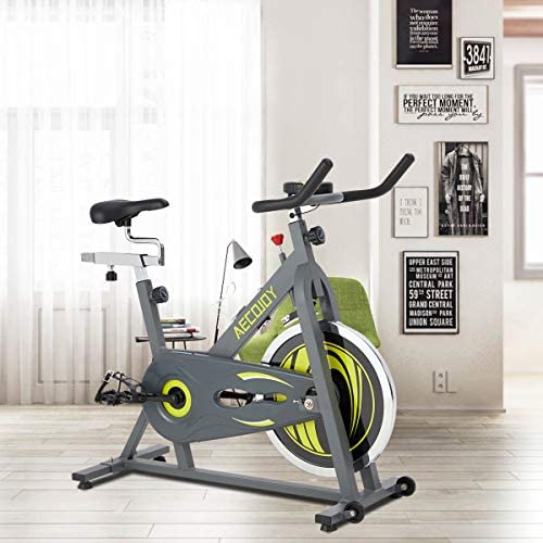 AECOJOY Cycling Exercise Bike Stationary 330 Lbs Weight Capacity, Indoor Cycling Bike Silent Drive LCD Display with Comfortable Seat Cushion Reviews - Blog - 7