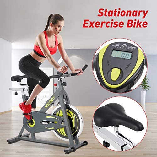 AECOJOY Cycling Exercise Bike Stationary 330 Lbs Weight Capacity, Indoor Cycling Bike Silent Drive LCD Display with Comfortable Seat Cushion Reviews - Blog - 2