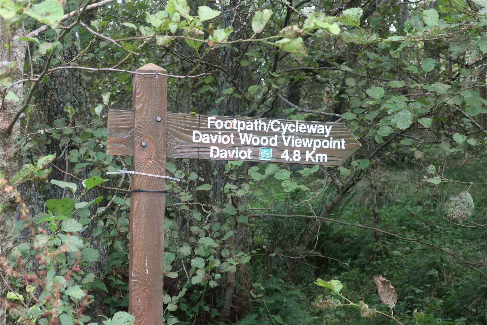 Cycle path sign to Daviot.