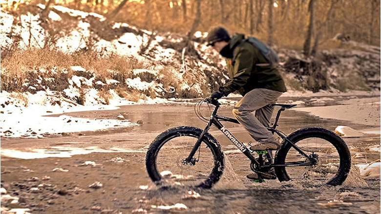 7 Best Fat Tire Bikes: Your Buyer’s Guide