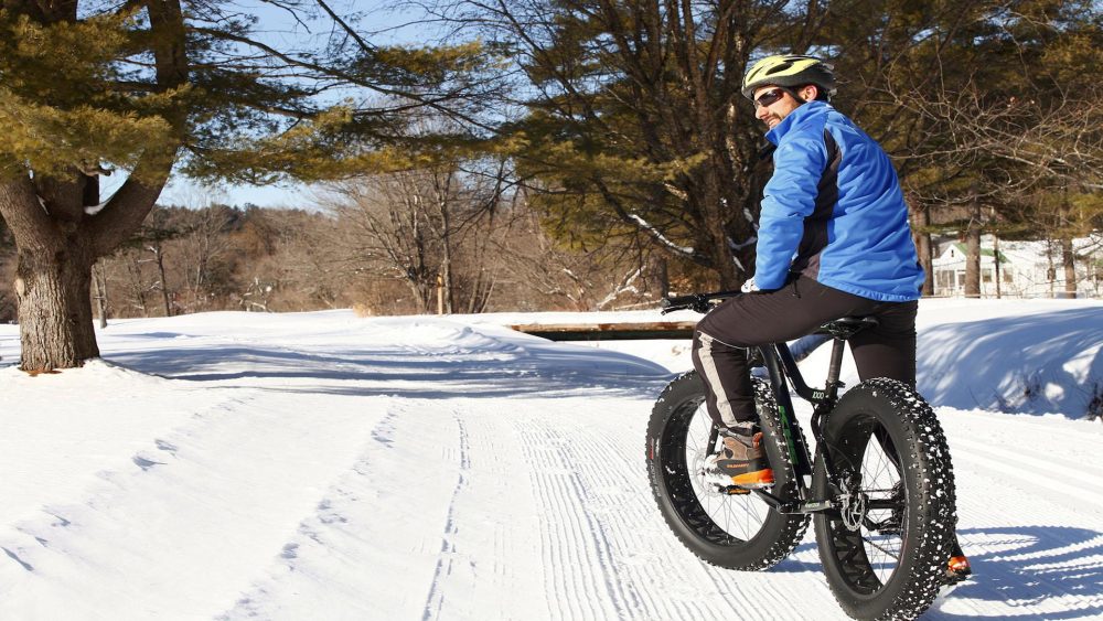 5 Reasons Why You Should Buy A Fat Tire Bike