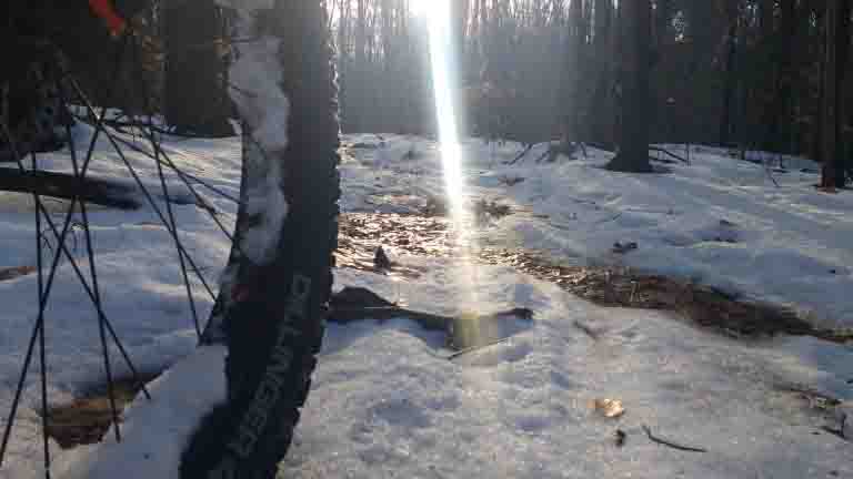 Riding a fat bike in the snow