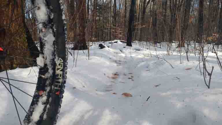 Riding a fat bike in the snow