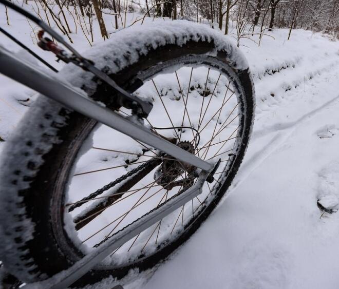 8 Reasons Why You Should Buy A Fat Tire Bike