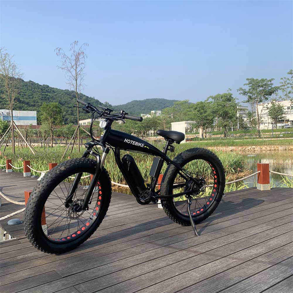 How Fast Does a 1000W Electric Bike Go - Blog - 2