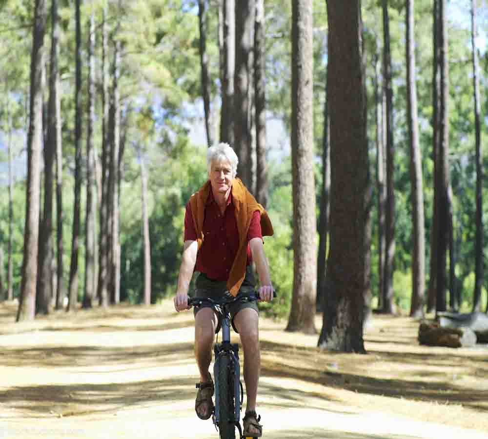 Are e bikes good for seniors