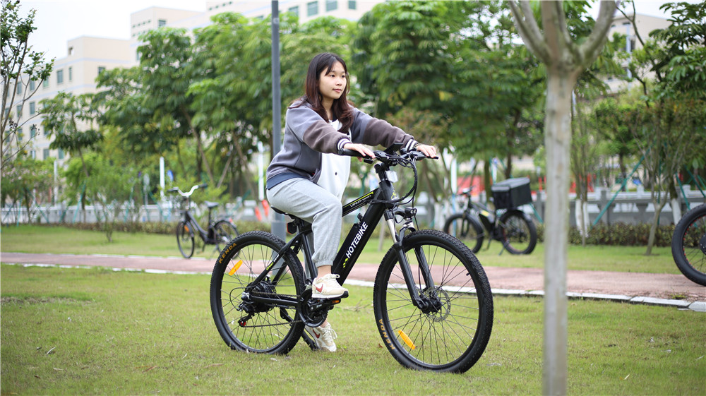 cheapestebike bicycleold