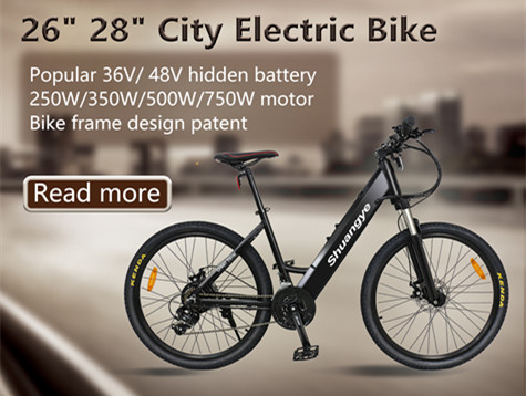 Electric Bike Battery Care Tips