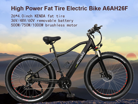 Why are electric bike batteries so expensive
