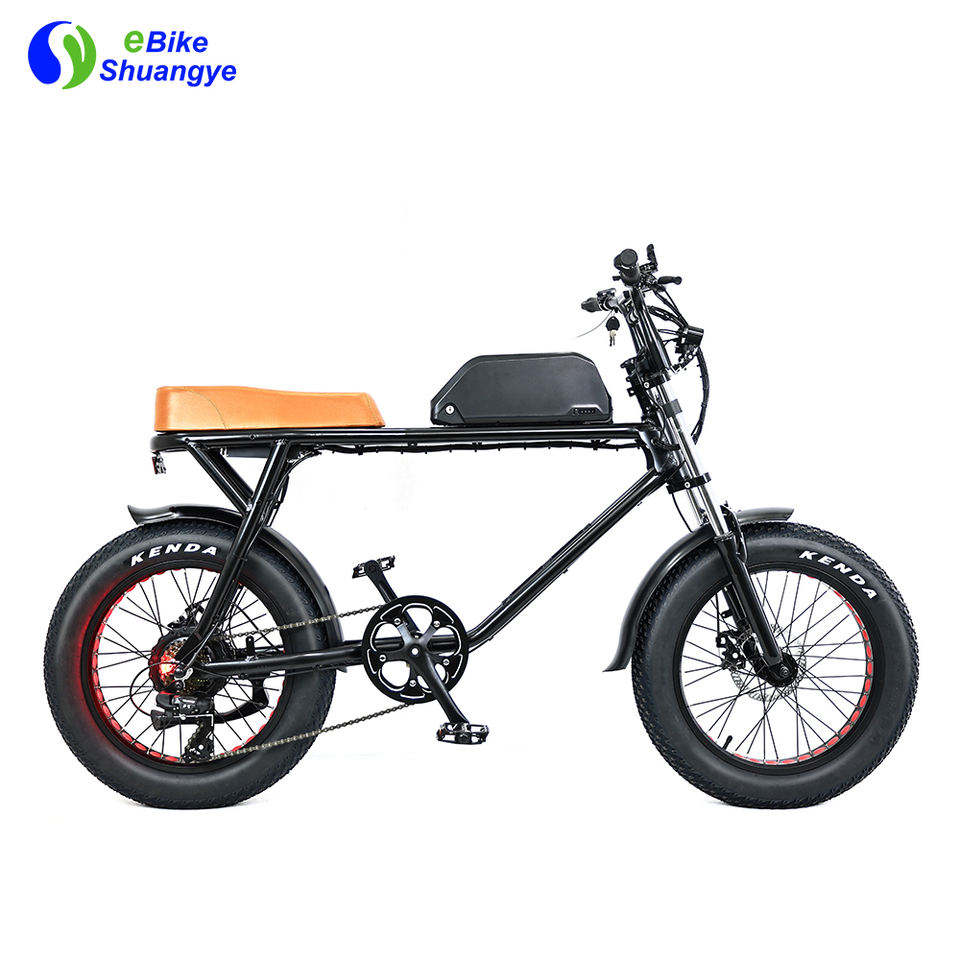 20 inch fat tire electric mountain dirt bike 48v 500w 750w bicycle
