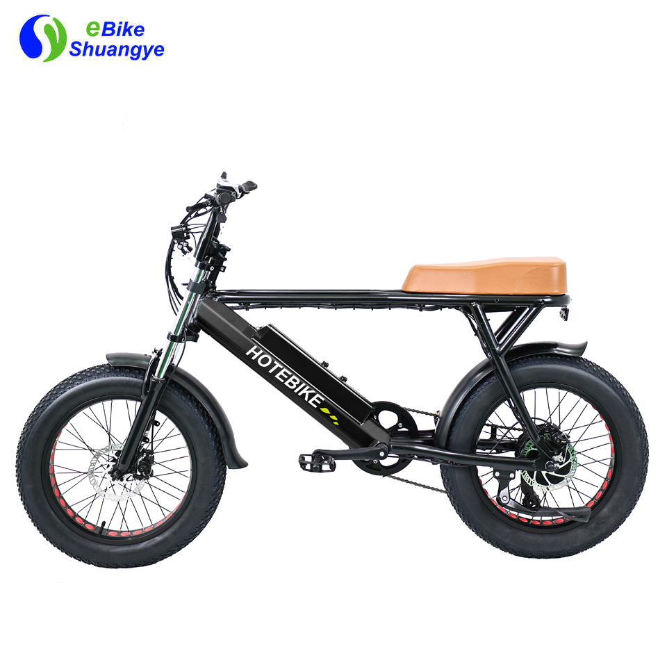 750W 500W Motor Fat Tire Electric Bicycle 20 Inch Aluminum Alloy Frame