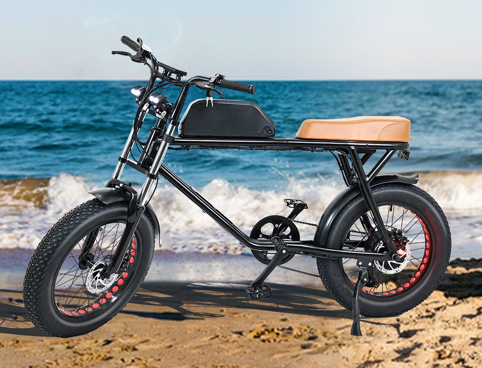 SHUANGYE 2023 New Design Electric Bike for You