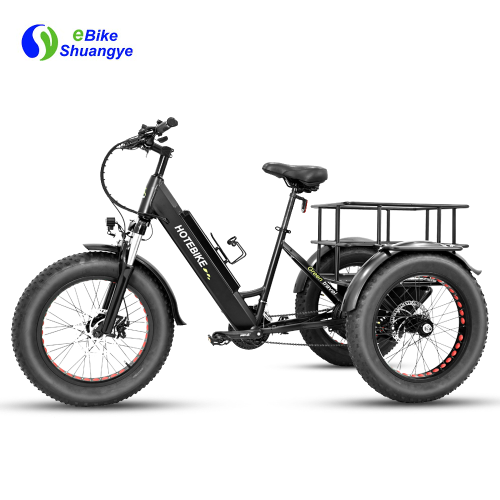 3 wheel electric bike