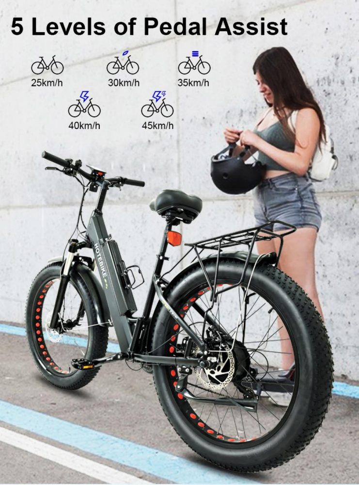 fat tire electric bike