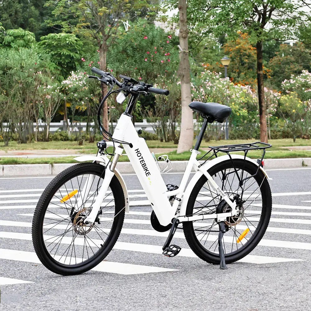 Hub Motor E-Bike