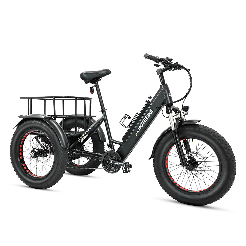 20 inch 3 Wheel Electric Bike 48V 500W 750W cargo bike
