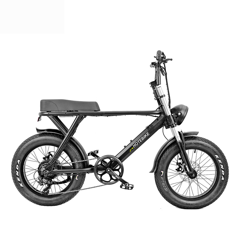 20 inch 3 Wheel Electric Bike 48V 750W 14.4AH Shuangye ebike