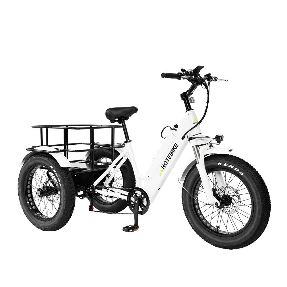 Electric Tricycles 20 inch Fat Tire ebike 36V360W 500W - ET Series - 6