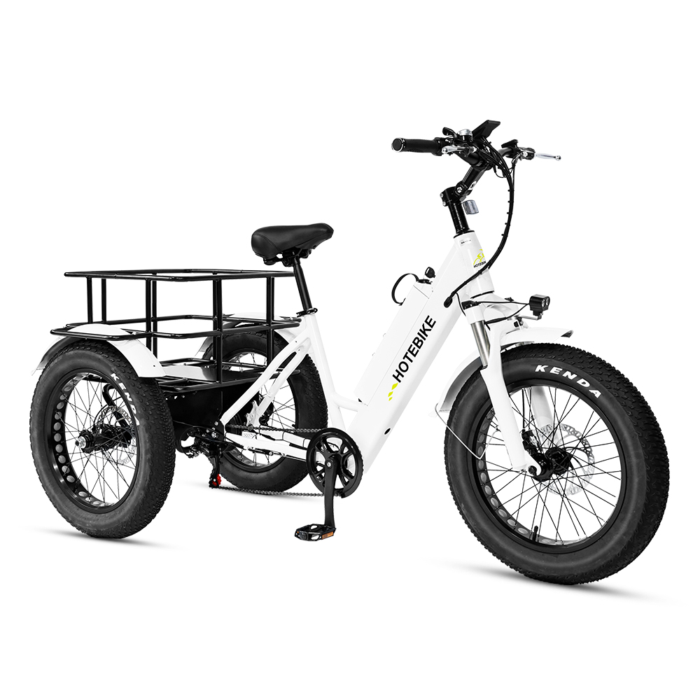 Electric Tricycles 20 inch Fat Tire ebike 36V360W 500W