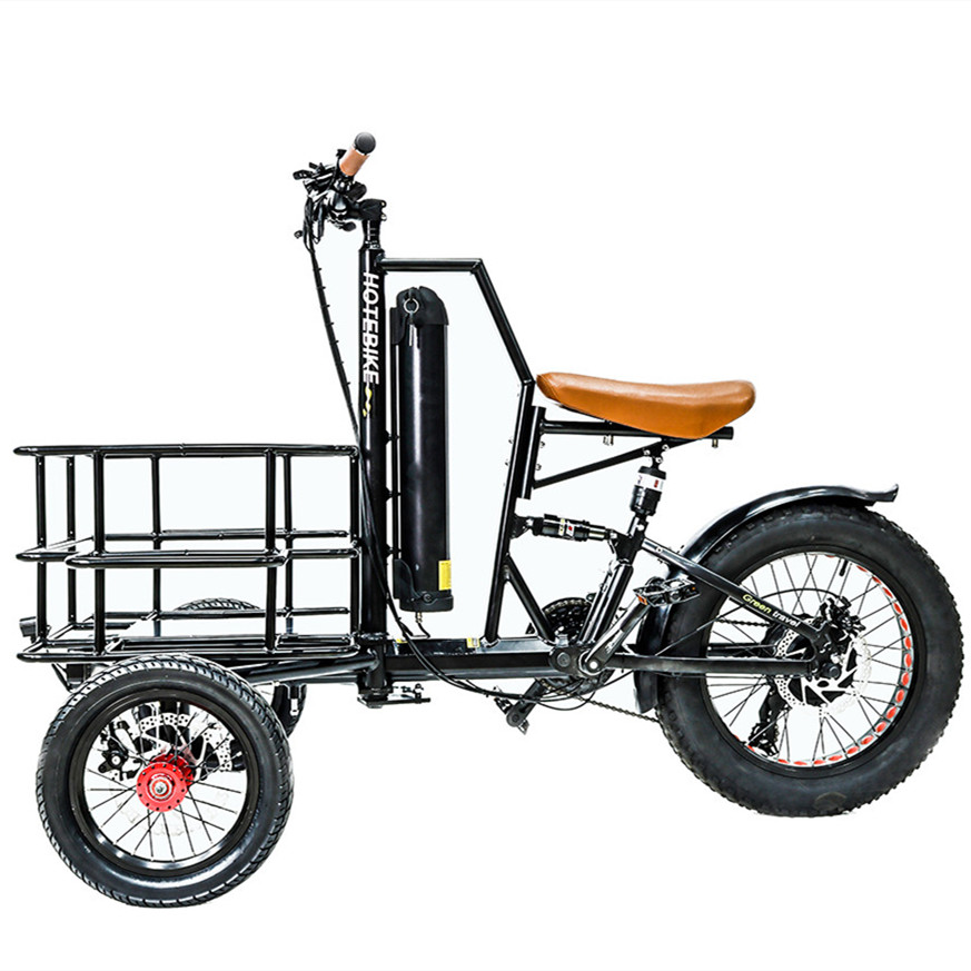 20inch 48V 750W 500W electric tricycle for adults
