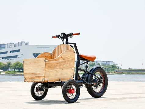 what is the best electric tricycle for adults