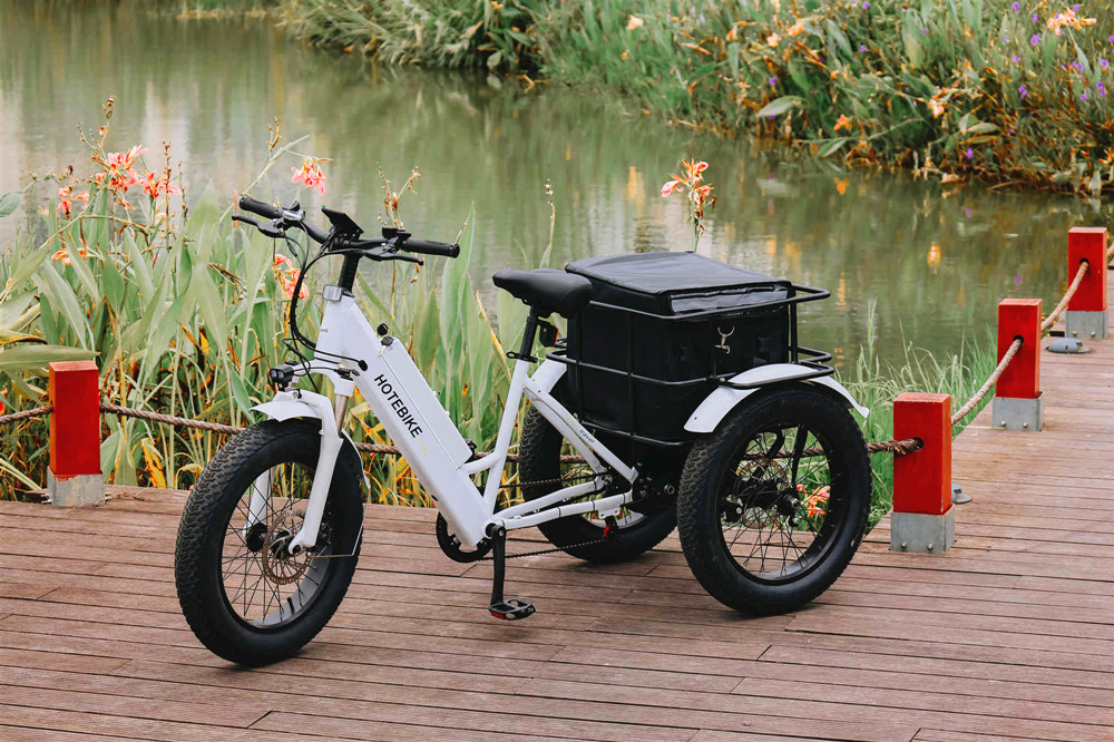 electric cargo bike
