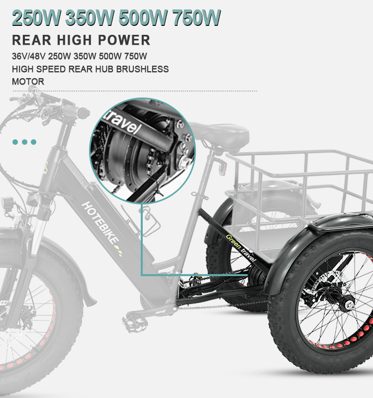 Electric Tricycles 20 inch Fat Tire ebike 36V360W 500W - ET Series - 2