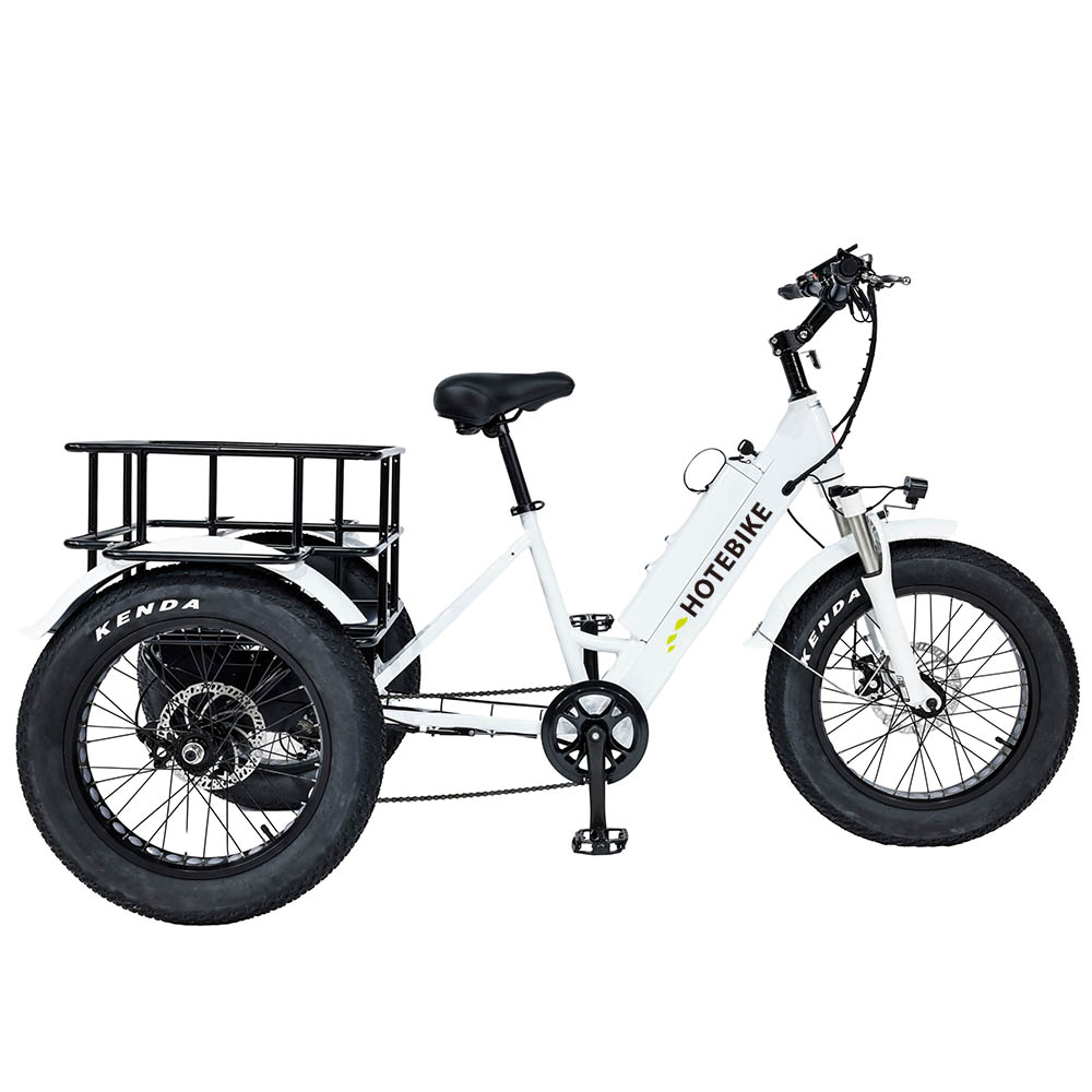 3 Wheel Electric Bike for Adult with 500/750W Motor