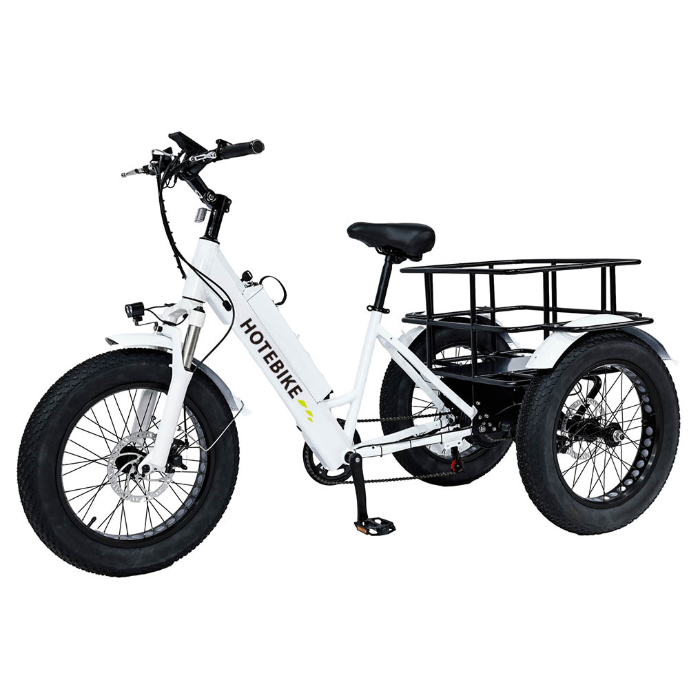 3 Wheel Best Adult Electric Tricycle with 500/750W Motor