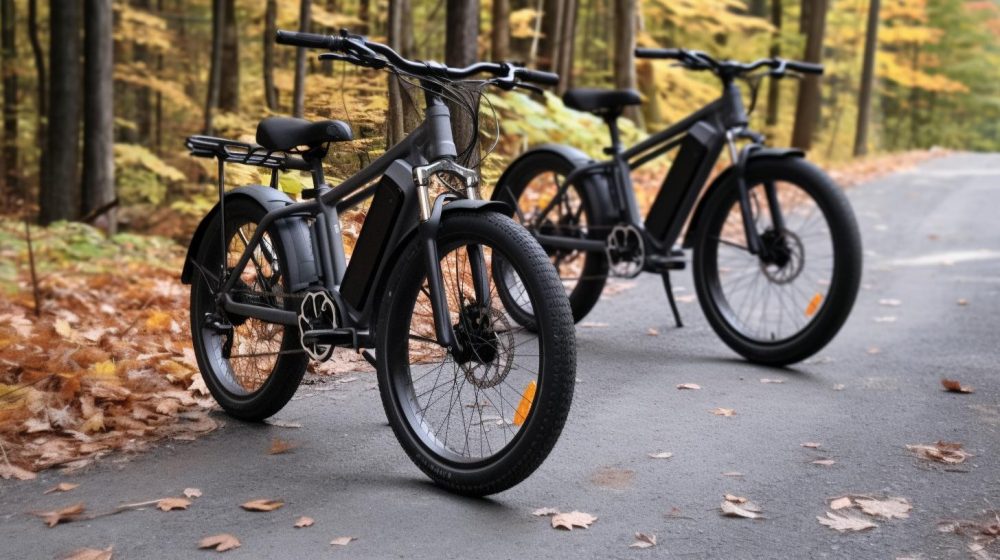 How Heavy Are Electric Bikes? - Blog - 2