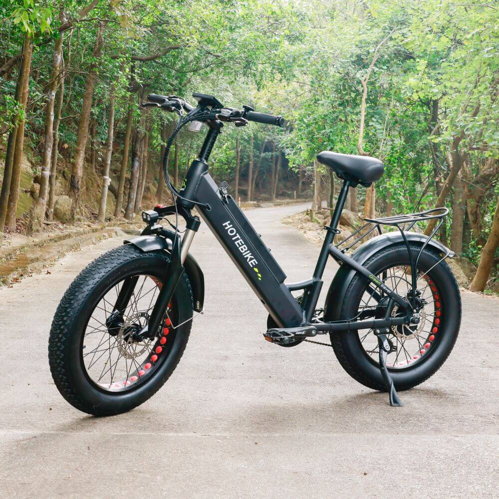 48v 500w 750w fat tire electric bike 20 inch - Electric Mountain Bike - 1