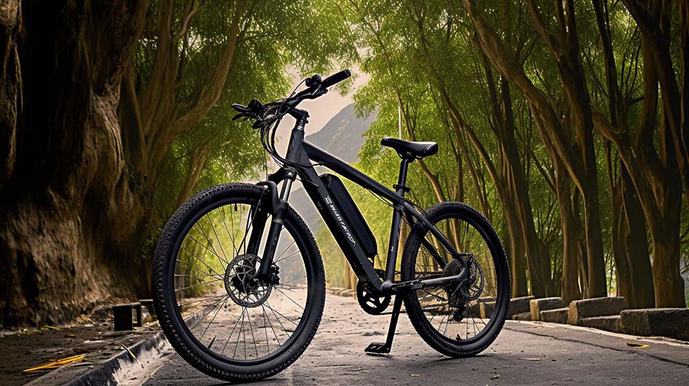 Electric Bikes