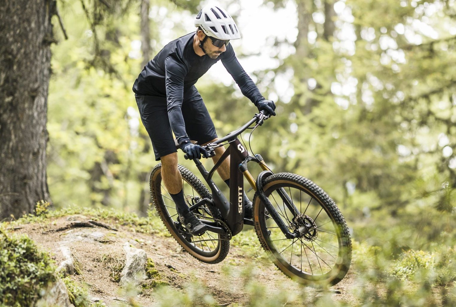 Unveiling the Secrets of Electric Mountain Bikes - Blog - 1