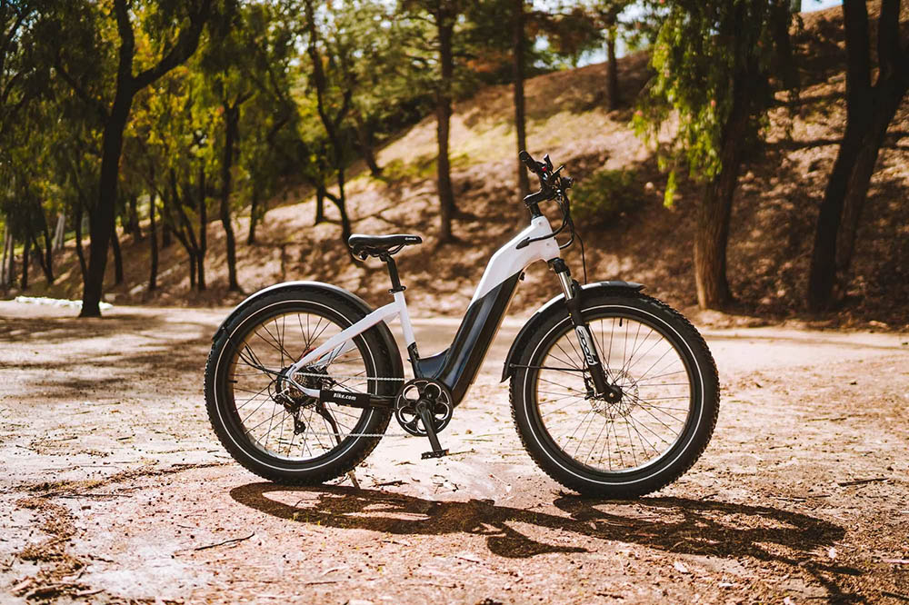 How much does e bike weigh: get the facts - Blog - 2