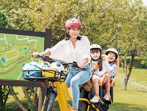 10 Reasons to Buy a e-trike cargo bike