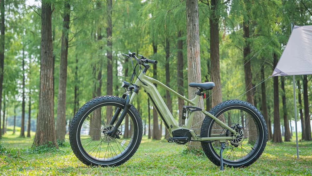 Full Suspension Ebike