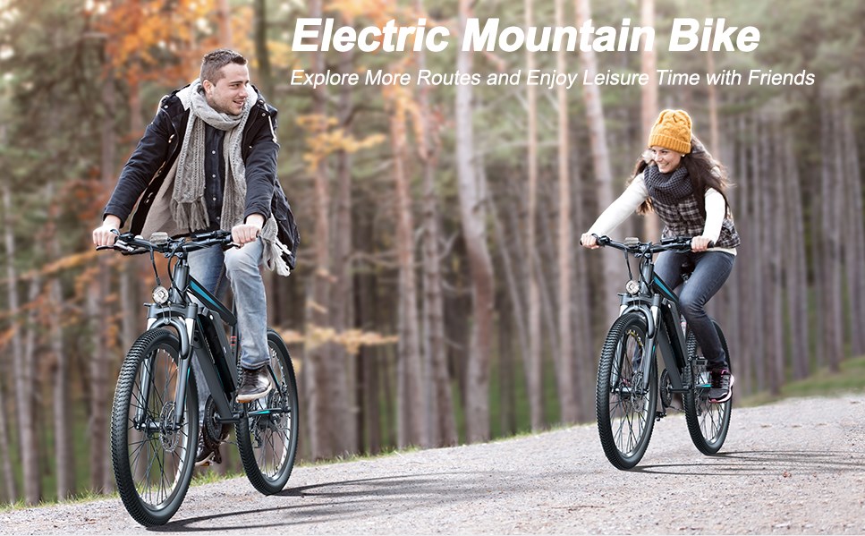 electric bicycle