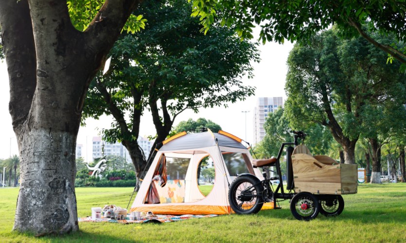 The Advantages of Using Electric Tricycles for Commuting - Blog - 1