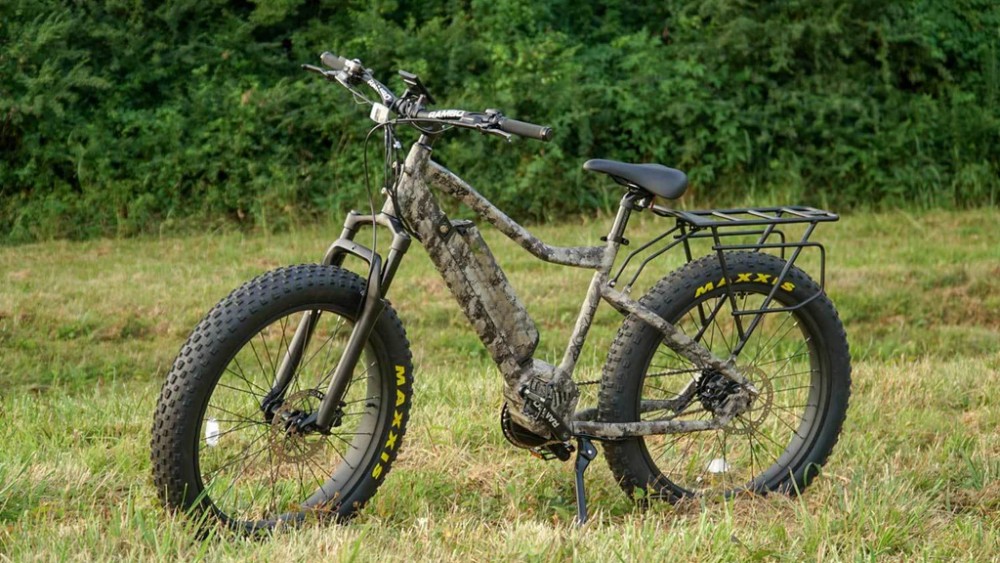 1000w e-bike